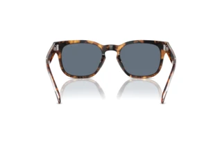 Rückansicht Vogue Eyewear VO5571S (28194Y)