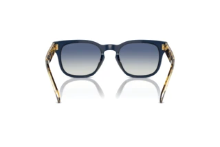 Rückansicht Vogue Eyewear VO5571S (31434L)