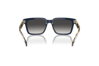 Rückansicht Vogue Eyewear VO5573S (31438G)