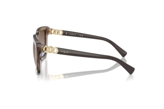 Seitenansicht Vogue Eyewear VO5575SB (294048)