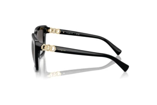 Seitenansicht Vogue Eyewear VO5575SB (W44/8G)
