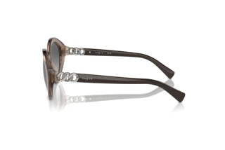 Seitenansicht Vogue Eyewear VO5576SB (294011)