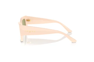 Seitenansicht Vogue Eyewear VO5583S (316482)