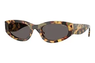 Vogue Eyewear VO5585S 260587