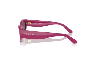 Seitenansicht Vogue Eyewear VO5585S (316087)