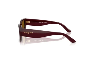 Seitenansicht Vogue Eyewear VO5586S (328483)