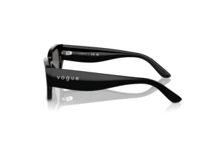 Seitenansicht Vogue Eyewear VO5586S (W44/87)