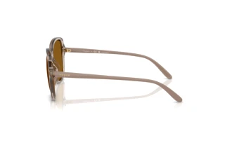 Seitenansicht Vogue Eyewear VO5601S (299083)