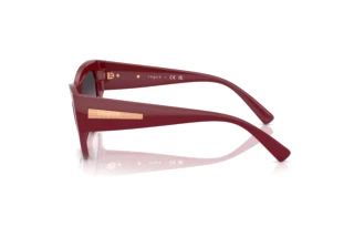 Seitenansicht Vogue Eyewear VO5607S (287590)
