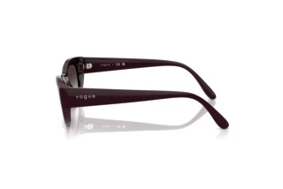 Seitenansicht Vogue Eyewear VO5616S (24268G)
