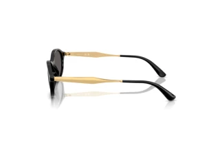 Seitenansicht Vogue Eyewear VO5625S (W44/87)