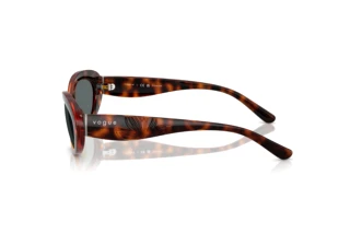 Seitenansicht Vogue Eyewear VO5630S (W65681)