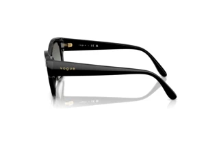 Seitenansicht Vogue Eyewear VO5638SU (W44/11)