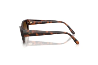 Seitenansicht Vogue Eyewear VO5669S (271813)