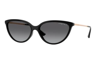 Vorderansicht Vogue Eyewear VO5672S (W44/T3)