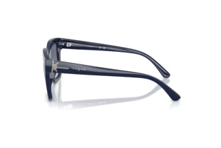 Seitenansicht Vogue Eyewear VO5690S (22884L)