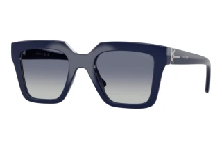 Vorderansicht Vogue Eyewear VO5690S (22884L)