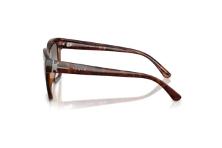 Seitenansicht Vogue Eyewear VO5690S (23868G)