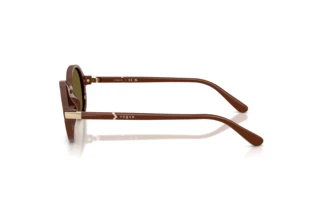 Seitenansicht Vogue Eyewear VO5692S (329673)