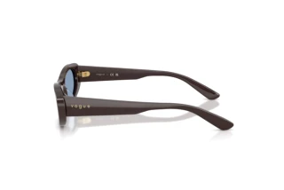 Seitenansicht Vogue Eyewear VO5695SU (326972)