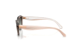 Seitenansicht Vogue Eyewear VO5711S (330111)