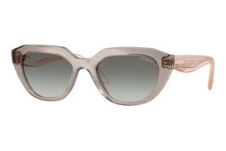 Vorderansicht Vogue Eyewear VO5711S (330111)