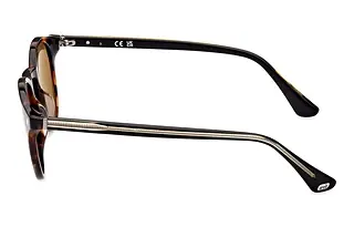 Seitenansicht Web Eyewear WE0328 (56N)