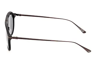 Seitenansicht Web Eyewear WE0345 (02D)