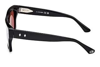 Seitenansicht Web Eyewear WE0354 (01S)