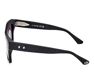 Seitenansicht Web Eyewear WE0354 (02A)