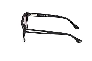 Seitenansicht Web Eyewear WE0362 (05A)