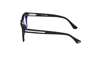 Seitenansicht Web Eyewear WE0362 (56V)