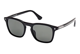 Vorderansicht Web Eyewear WE0365 (01D)