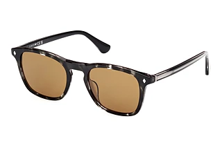 Vorderansicht Web Eyewear WE0365 (05E)