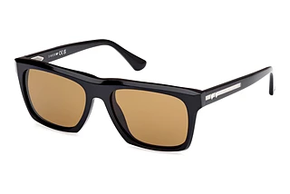 Vorderansicht Web Eyewear WE0367 (01E)