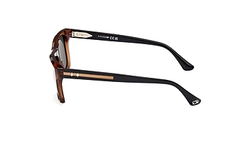 Seitenansicht Web Eyewear WE0367 (50D)