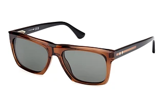 Vorderansicht Web Eyewear WE0367 (50D)