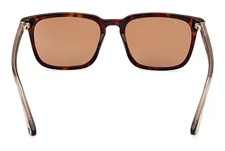 Rückansicht Web Eyewear WE0369 (56E)