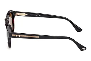Seitenansicht Web Eyewear WE0370 (56J)