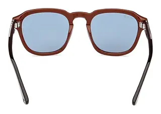 Rückansicht Web Eyewear WE0370 (56V)