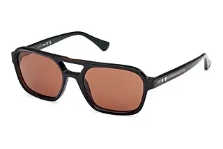 Vorderansicht Web Eyewear WE0376 (98E)