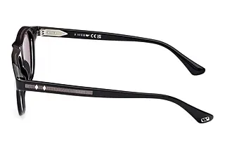 Seitenansicht Web Eyewear WE0377 (05A)