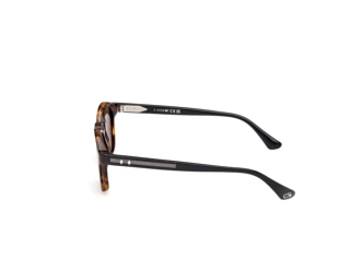Seitenansicht Web Eyewear WE0384 (55N)