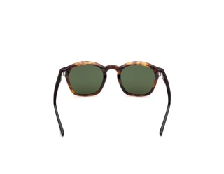 Rückansicht Web Eyewear WE0384 (55N)