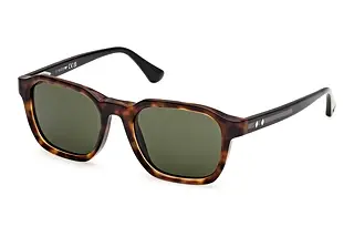 Web Eyewear WE0385 55N