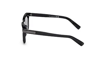 Seitenansicht Zegna EZ0269 (20D)