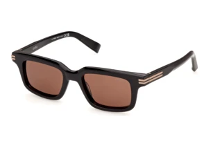 Vorderansicht Zegna EZ0312 (01E)