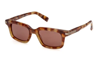 Vorderansicht Zegna EZ0312 (55E)