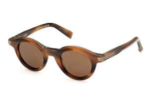 Vorderansicht Zegna EZ0313 (50E)