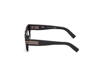 Seitenansicht Zegna EZ0317 (05E)